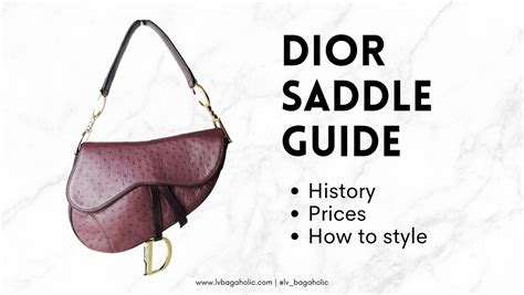 Dior Saddle Bag Reference Guide .